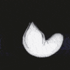 Cracked profile picture for @NumberOne